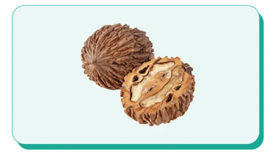Black Walnut Hull