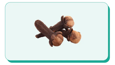 Clove